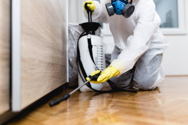 Best Pest Control Near Me  in Millwood, WA