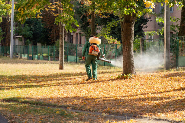 Reliable Millwood, WA Pest Control Solutions